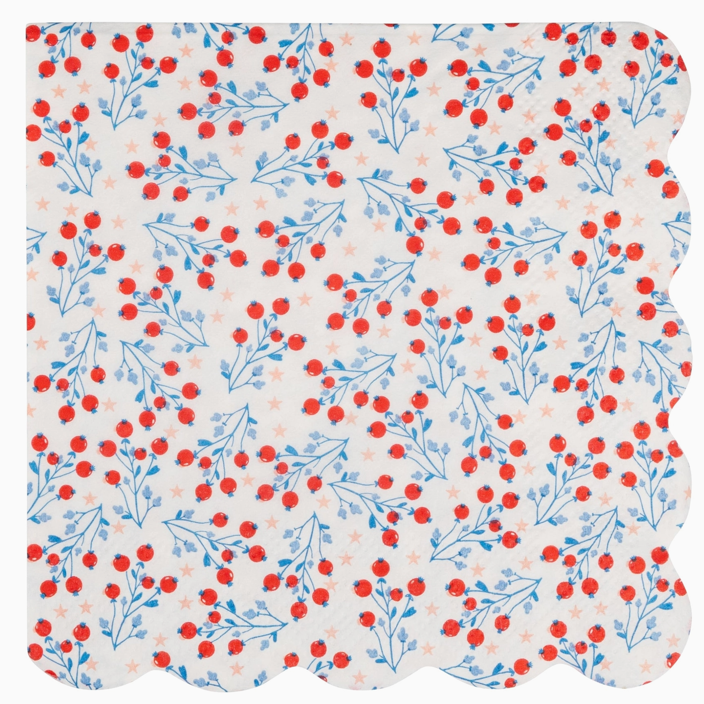 Floral Cocktail Paper Napkin Set