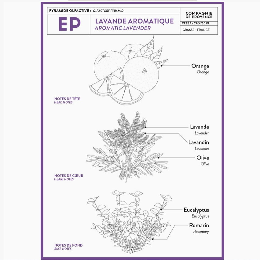 Liquid Marseille Soap Aromatic Lavender