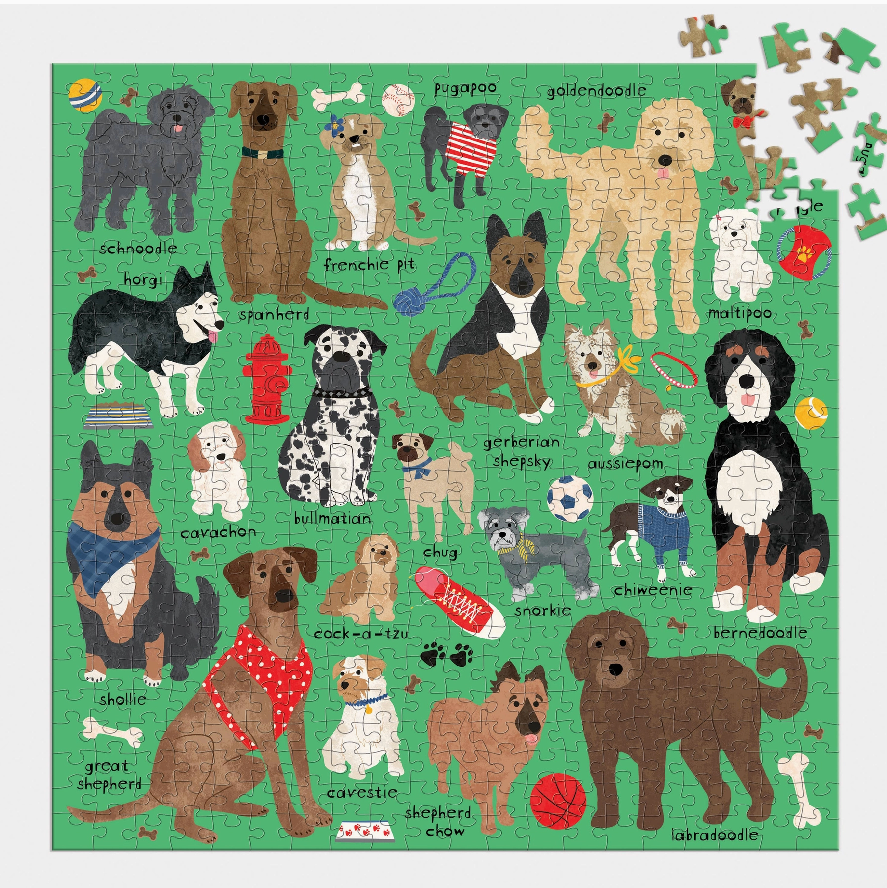 Doodle Dog and Other Mixed Breeds