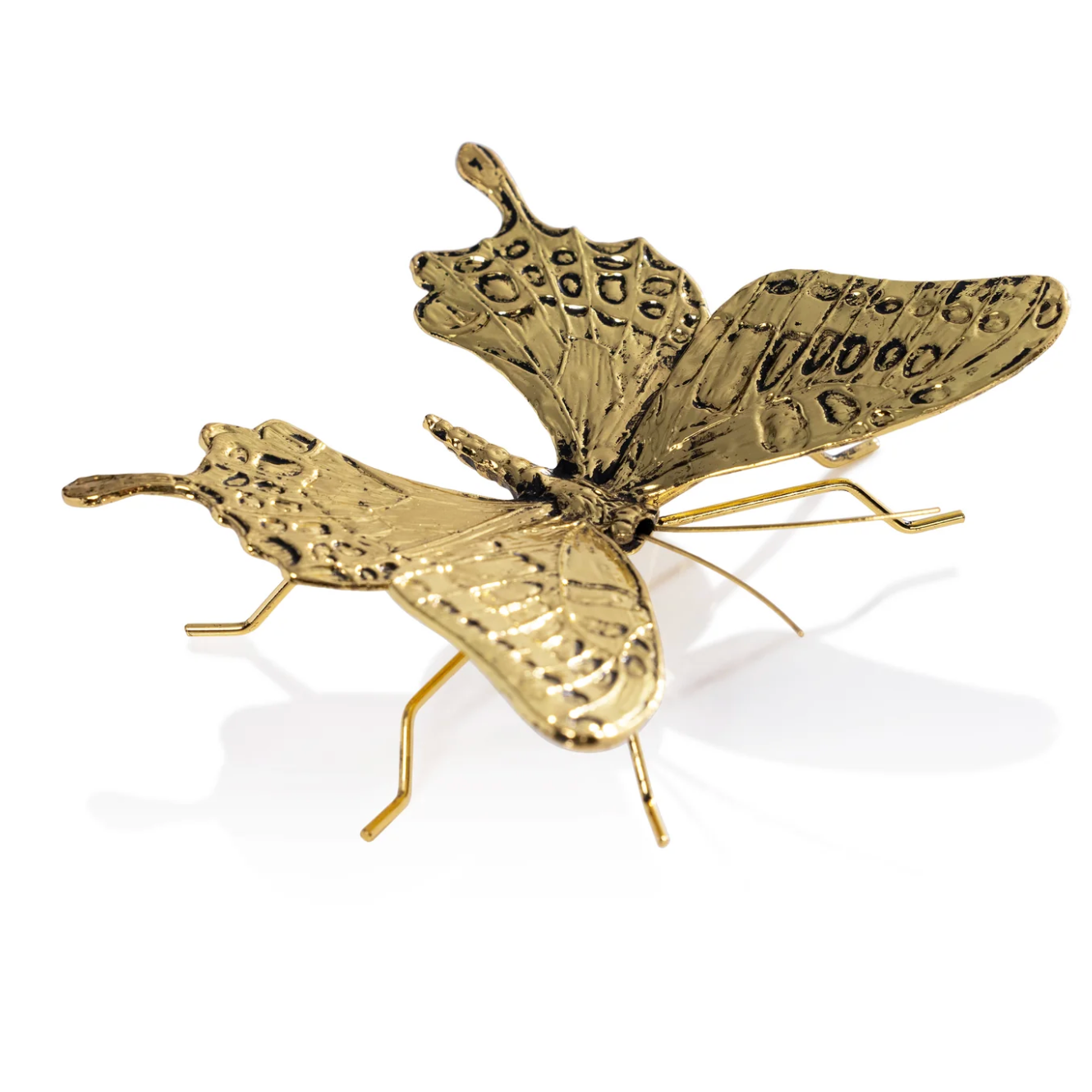 Decorative Butterfly
