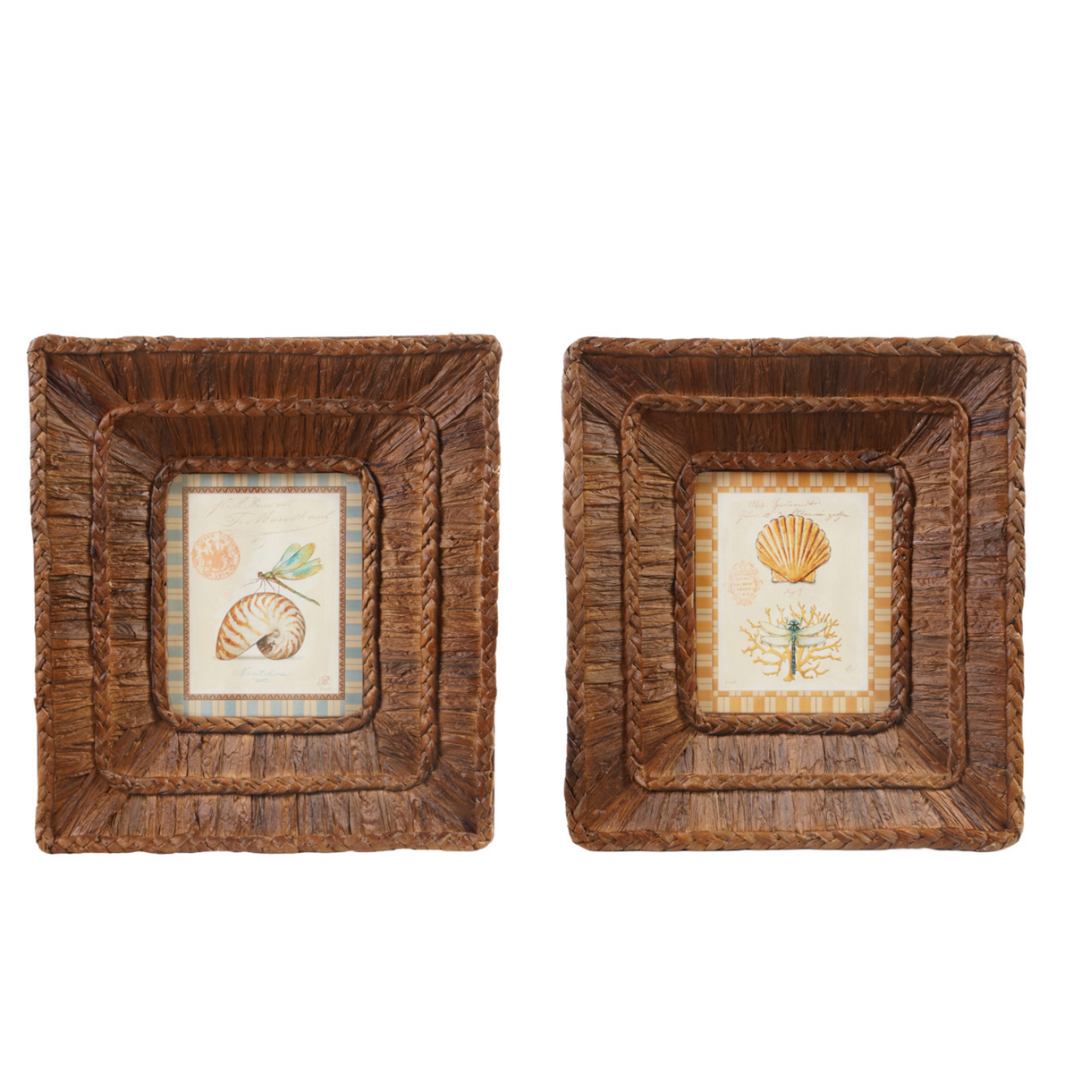 Woven Water Hyacinth Framed Glass Wall Décor w Shells, 2 Styles