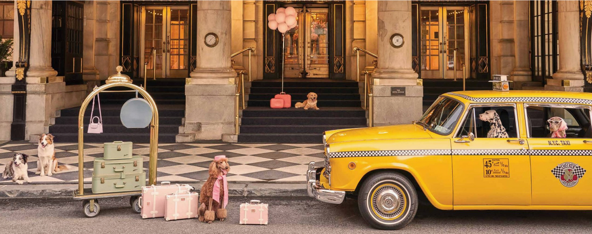 Gray Malin: Dogs