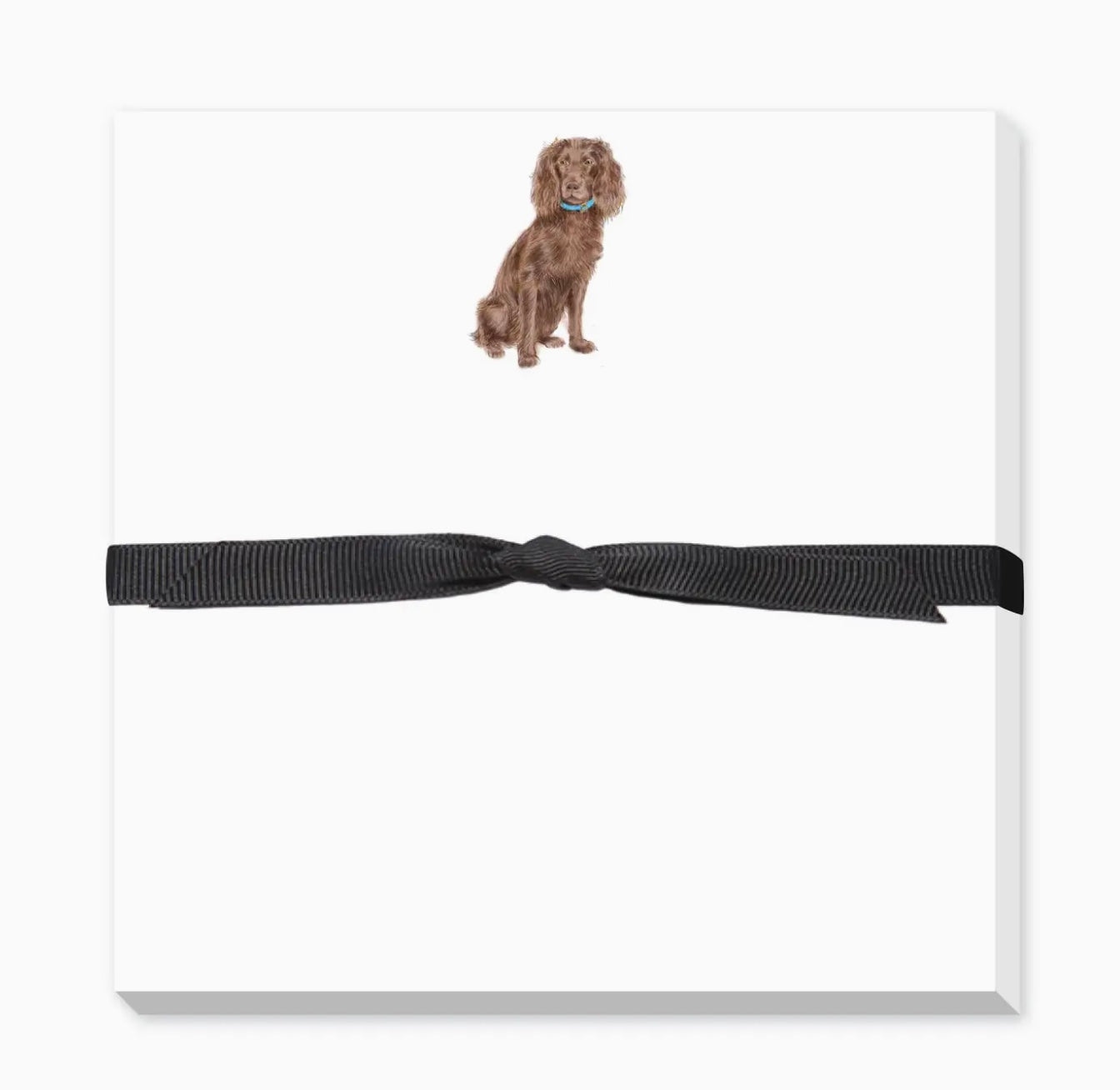 Boykin Spaniel Doodle Notepad