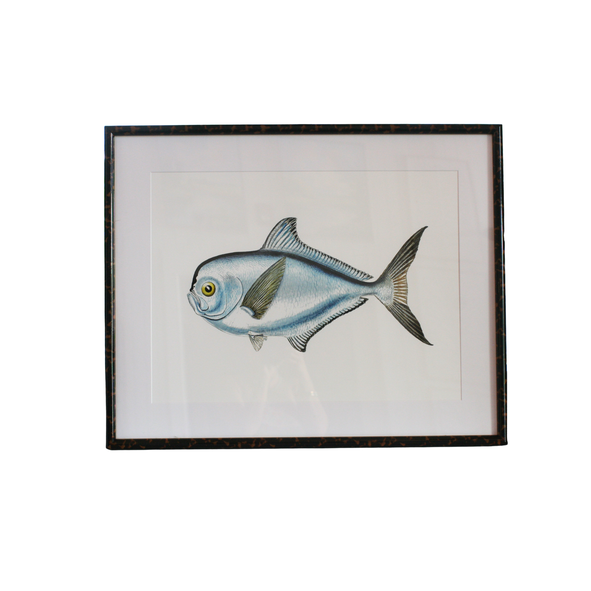 Fish in Tortoiseshell Frame