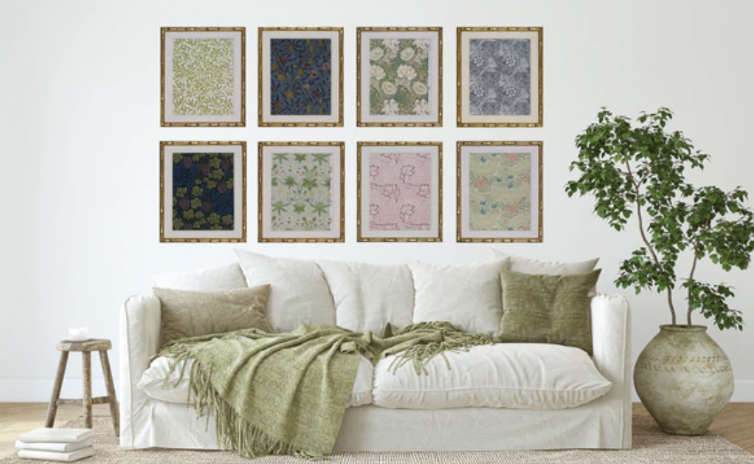 Chrysanthemum