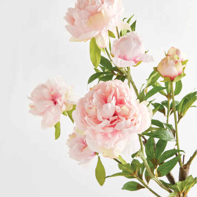 Peony Branch 31"