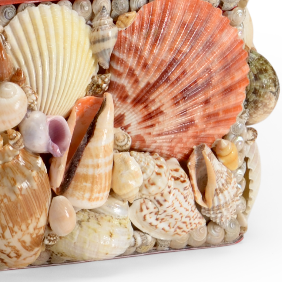 (L) pink shell box