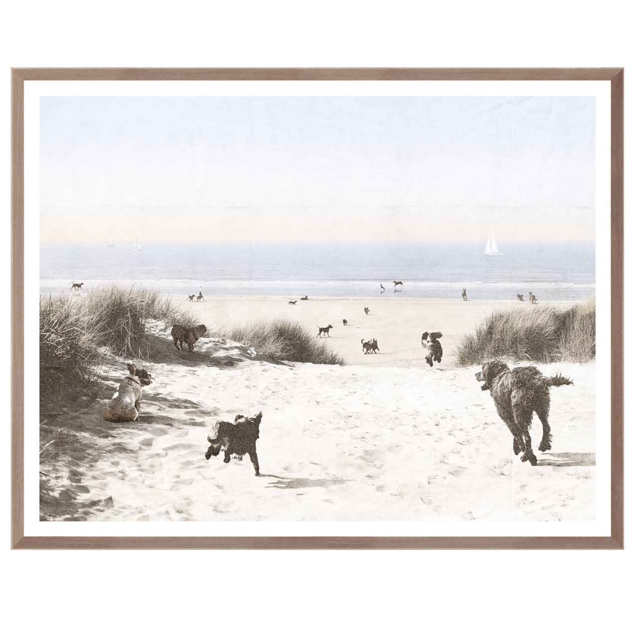Dogs Only Beach - Mid