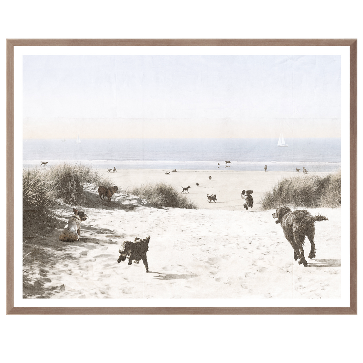 Dogs Only Beach - Mid