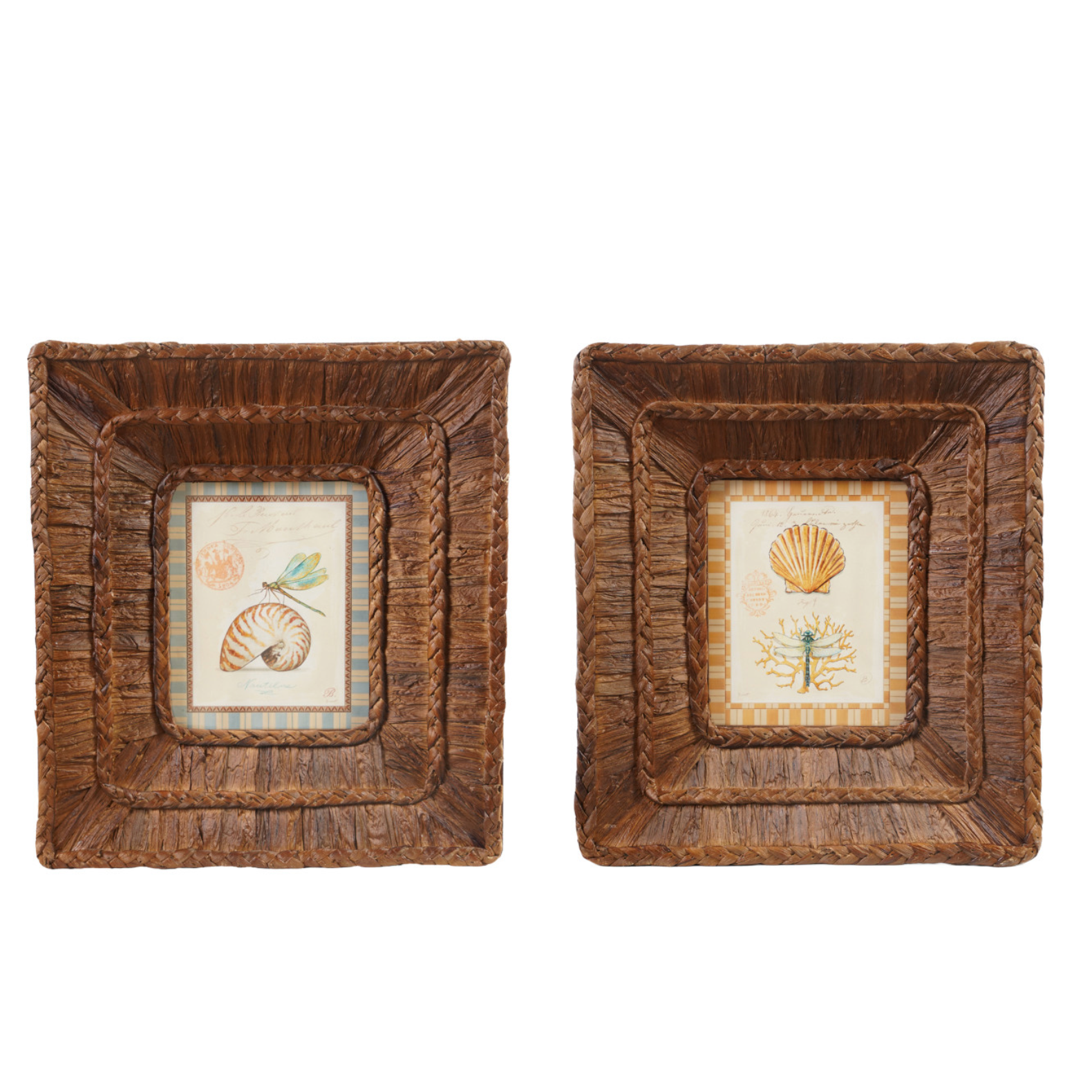 Woven Water Hyacinth Framed Glass Wall Décor w Shells,2 Styles