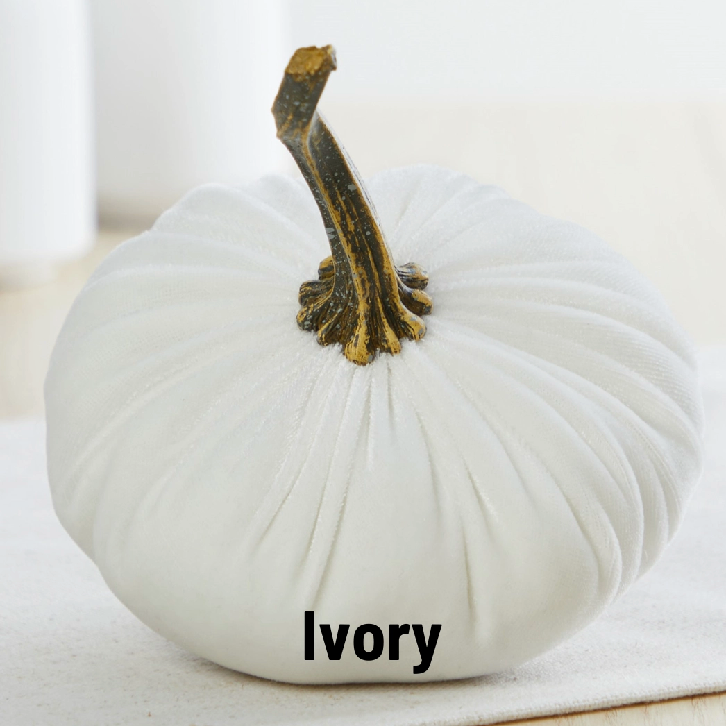 Pumpkin Small Velvet, Ivory