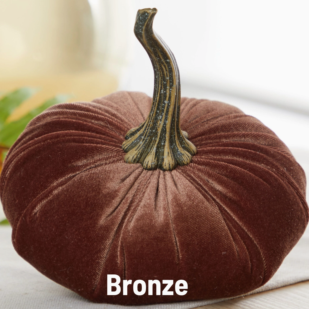 Pumpkin Large Velvet, Bronze
