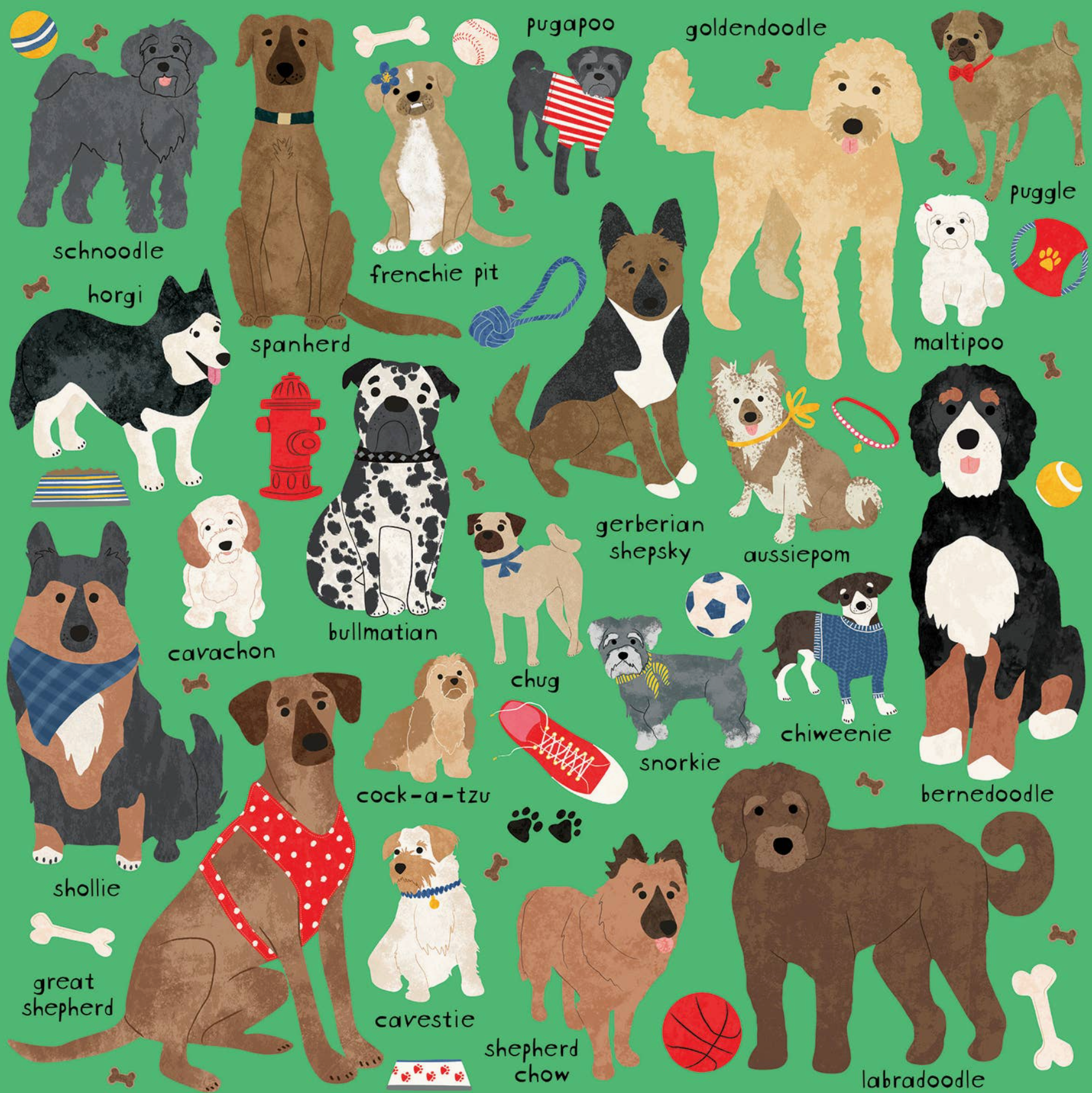 Doodle Dog and Other Mixed Breeds