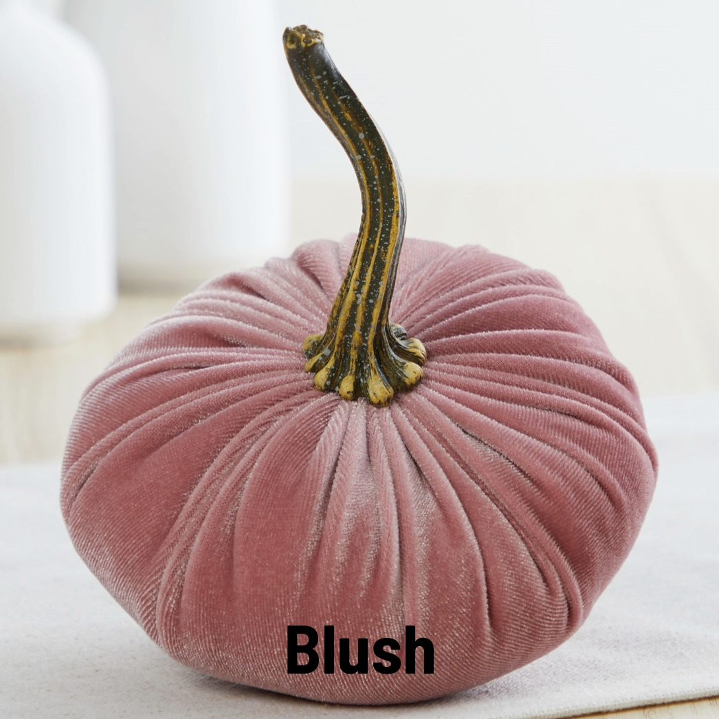 Pumpkin Small Velvet, Blush