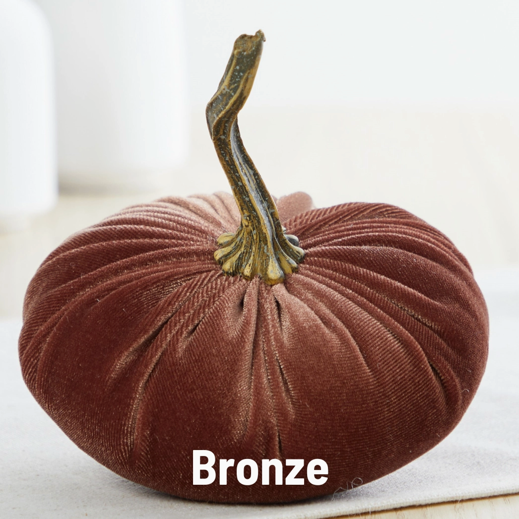 Pumpkin Small Velvet, Bronze