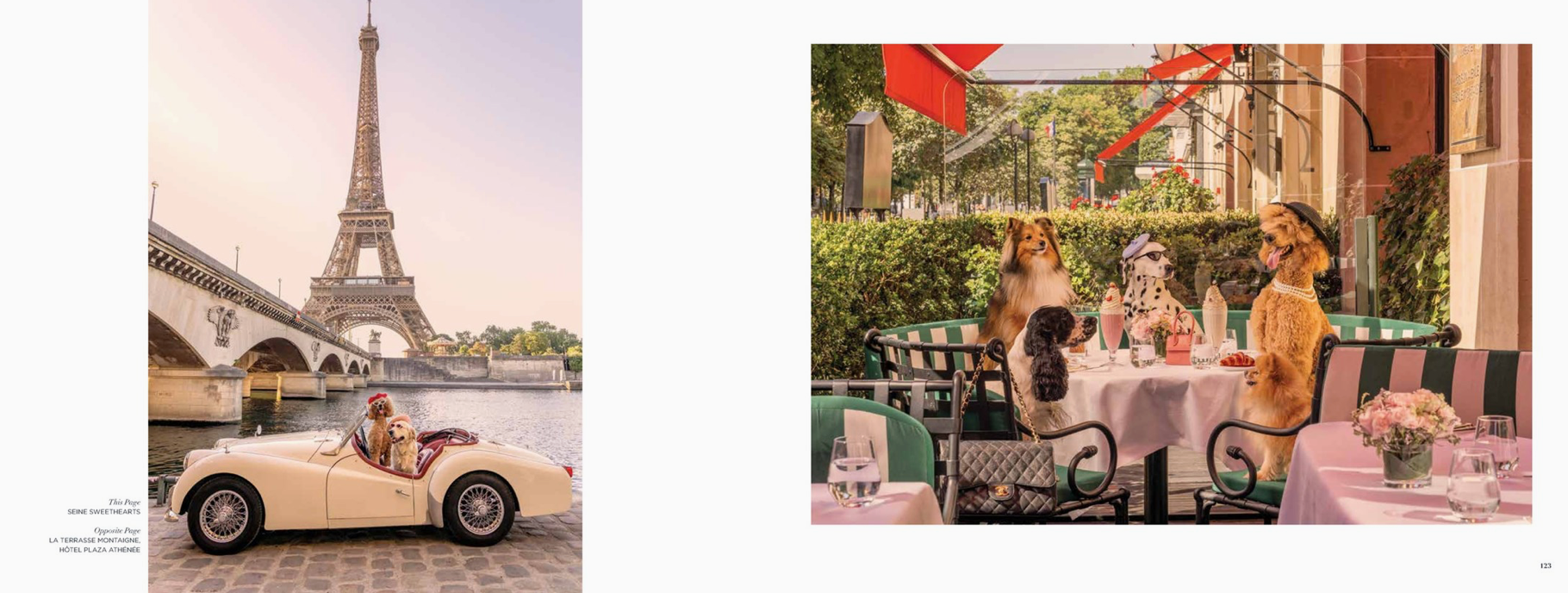 Gray Malin: Dogs