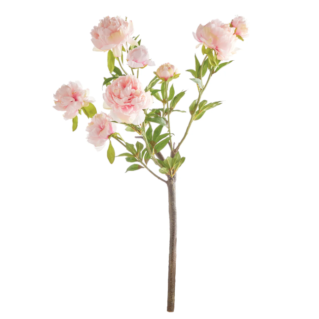 Peony Branch 31"