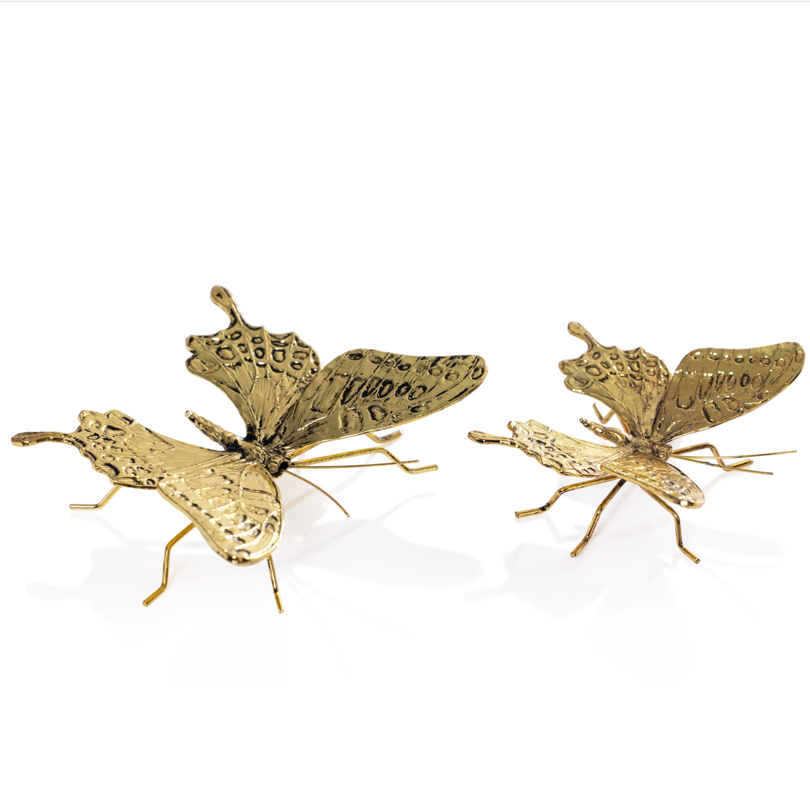 Decorative Butterfly