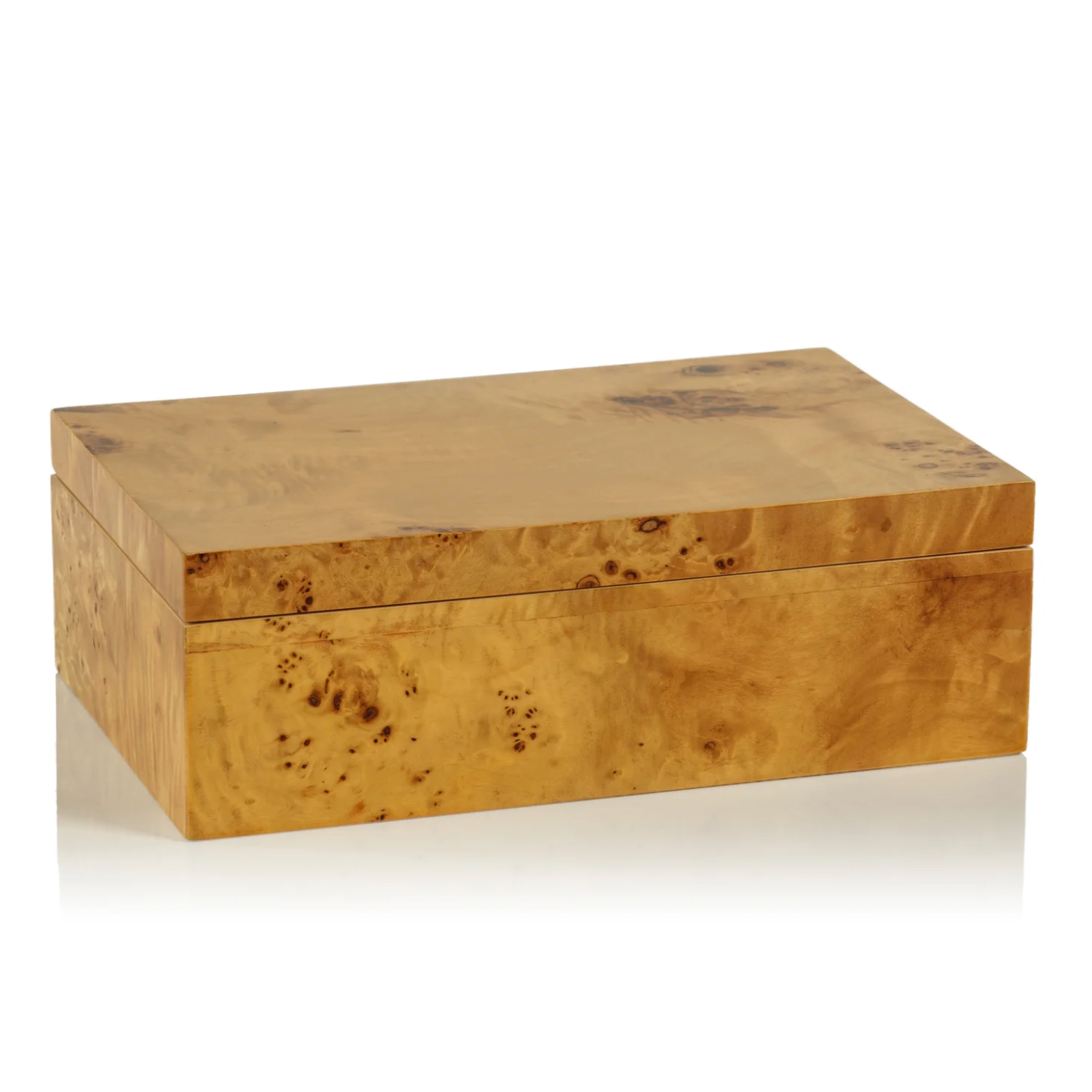 Large Leiden Burl Wood Design Box