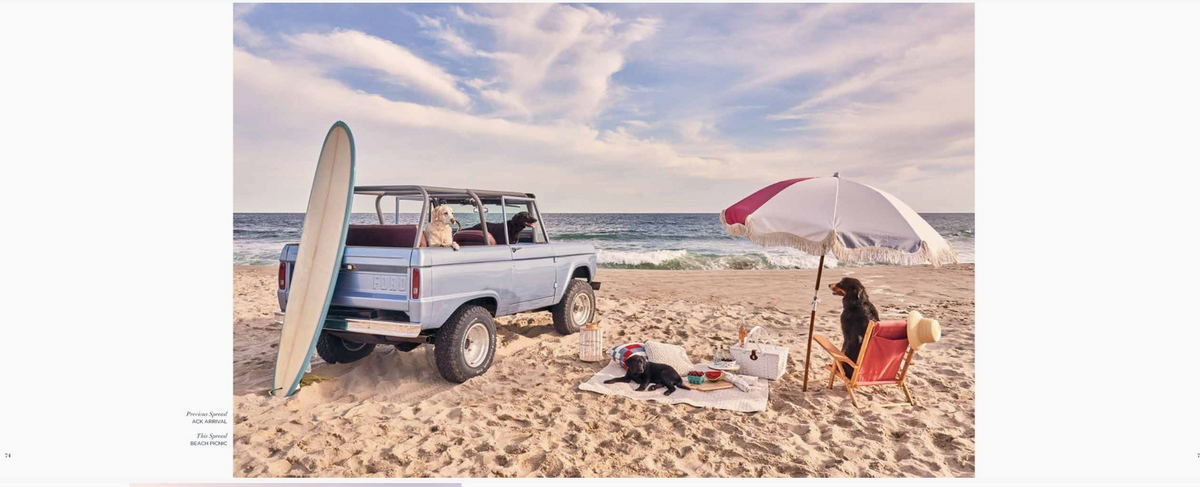 Gray Malin: Dogs