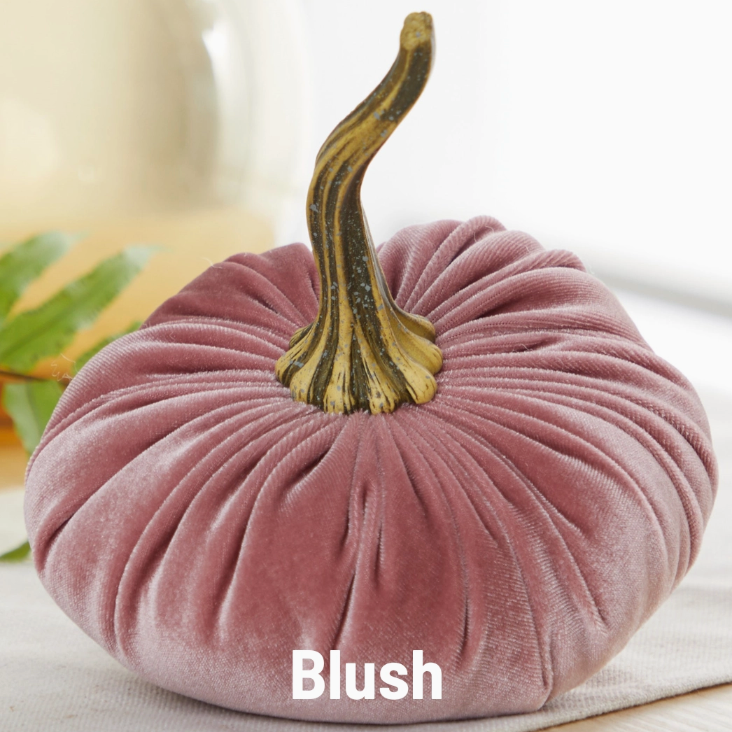 Pumpkin Large Velvet, Blush
