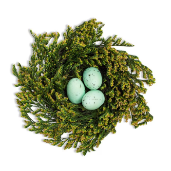 Robin Egg Nest