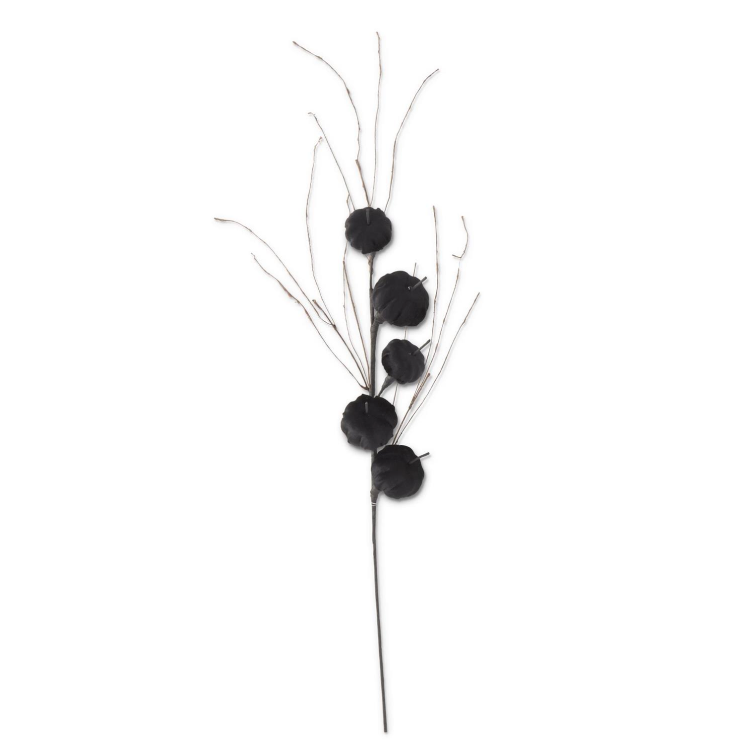 38 Inch Black Velvet Pumpkin Stem