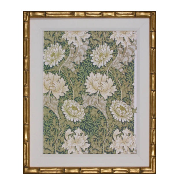 Chrysanthemum