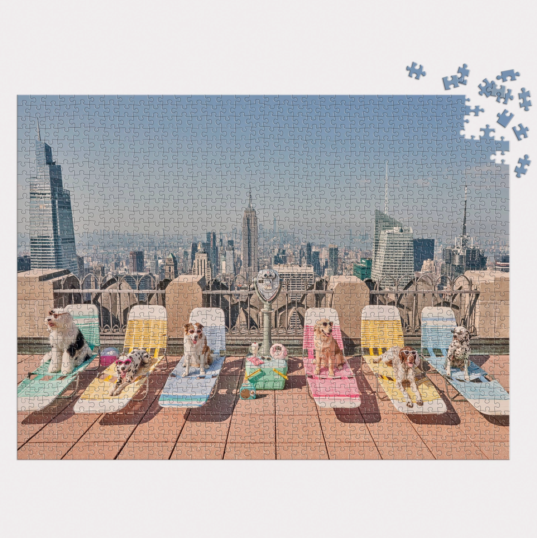 Gray Malin the Dogs of New York City 1000 Piece Puzzle