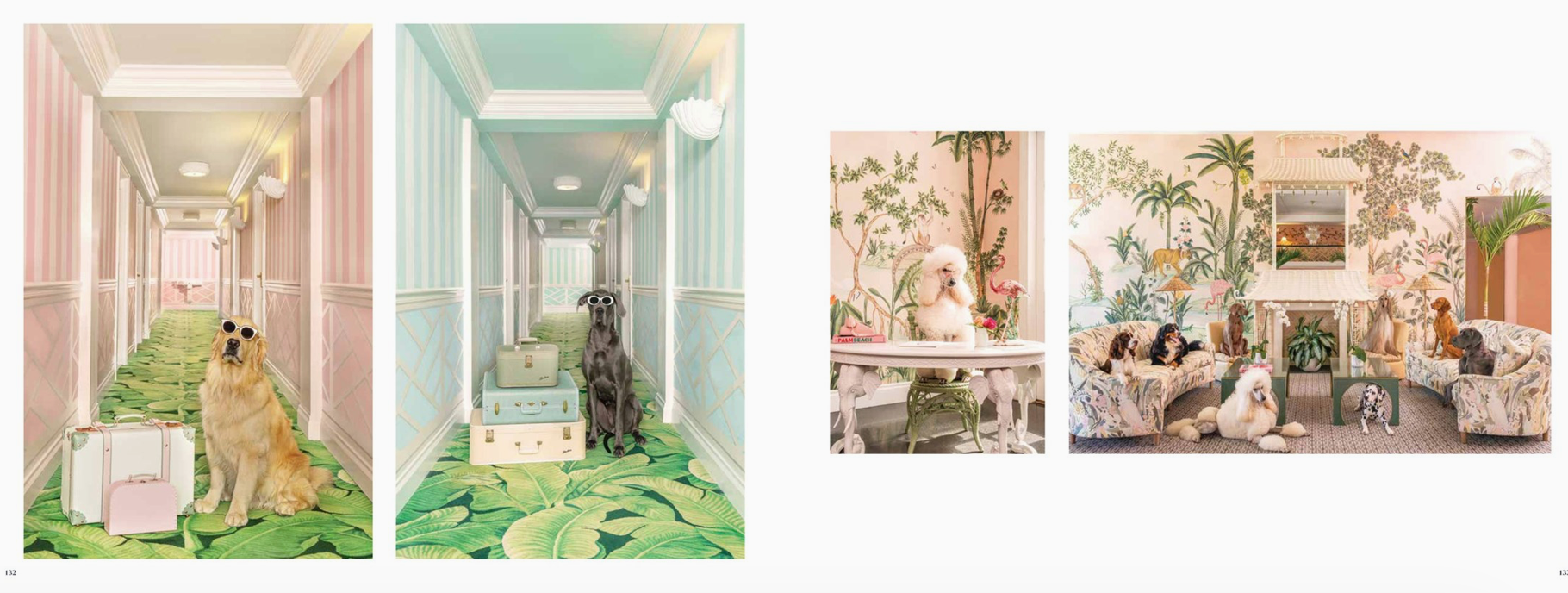 Gray Malin: Dogs